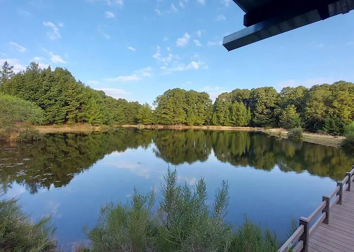 Lake House